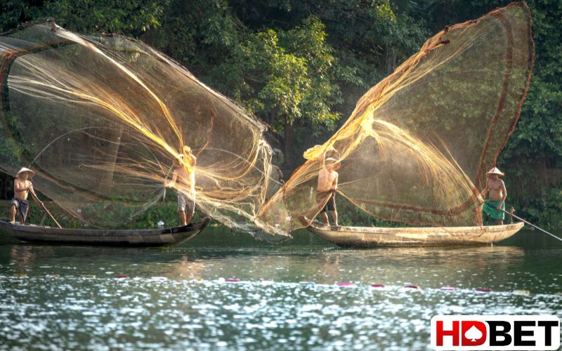 Nằm mơ bắt được nhiều cá nên đánh con lô nào?