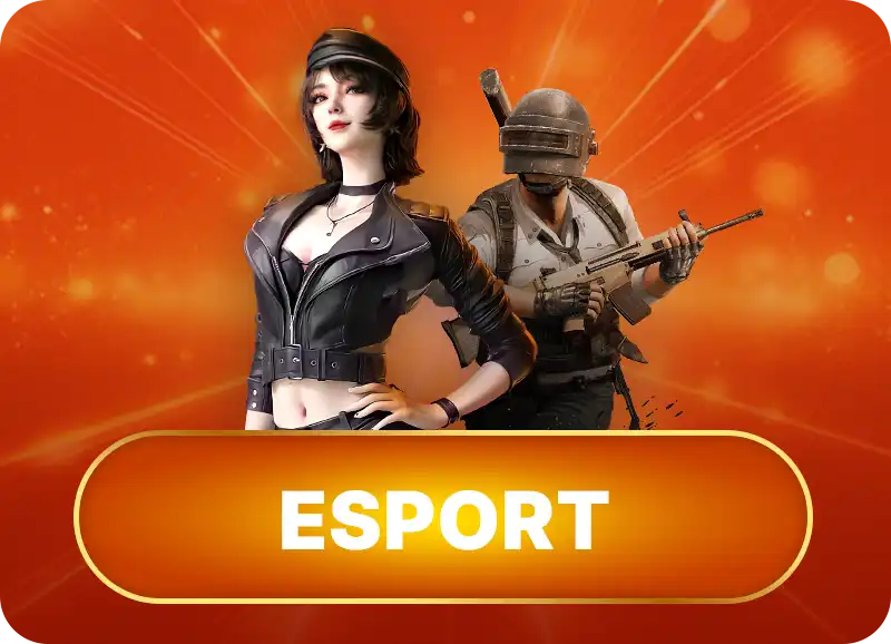nhà cái hdbet