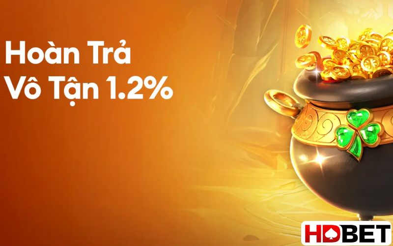 Khuyến mãi hoàn trả mỗi ngày khi cá cược